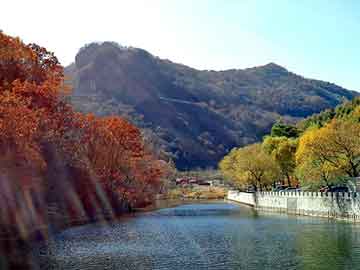 澳门红姐论坛精准两码300期，巅峰的神